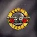 Guns N' Roses - Greatest Hits (2 платівки, 180 грам, Збірник) - фото №1