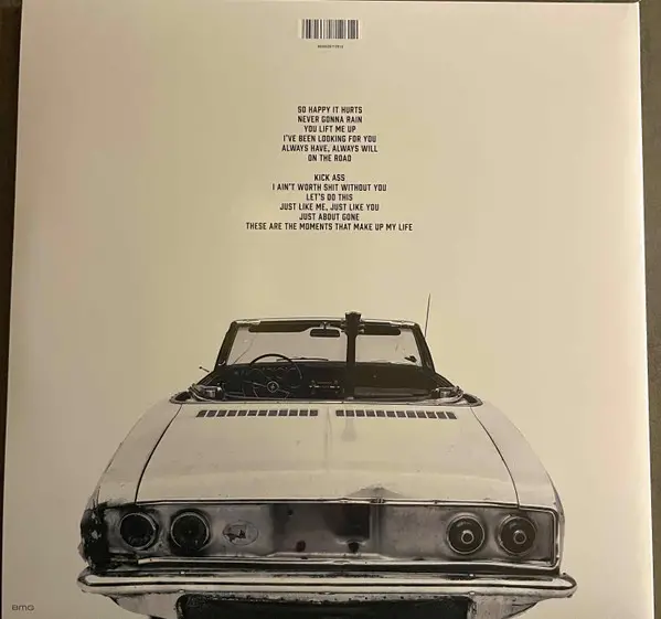 Bryan Adams - So Happy It Hurts (Gatefold, LP, Album) - фото №2