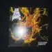 200 Stab Wounds - Piles Of Festering Decomposition (Olive, Green, Splatter, Stereo) - фото №7