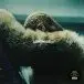 Beyoncé - Lemonade (2 платівки, Жовтий, Розкладна обкладинка, Альбом) - фото №1