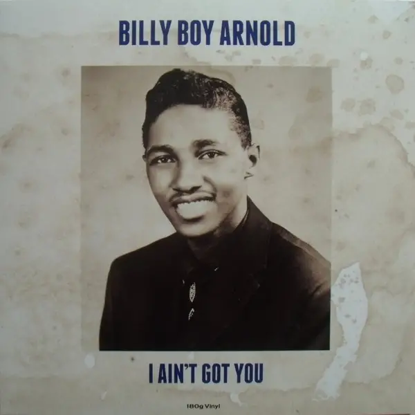 Billy Boy Arnold - I Ain't Got You (180 грамм, Сборник)