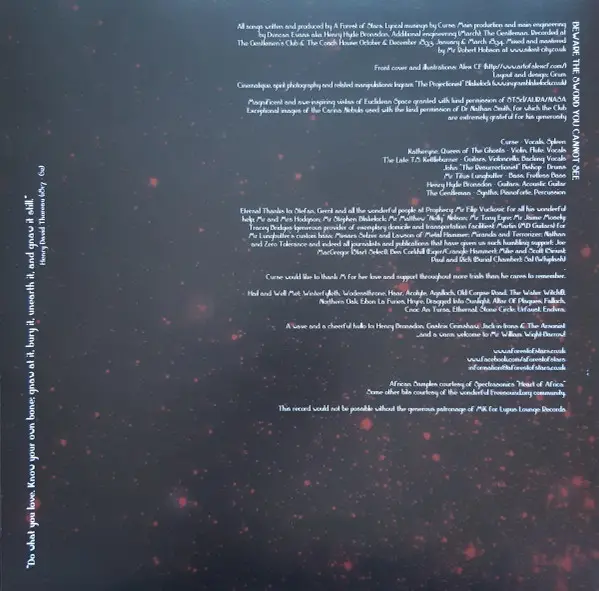 A Forest of Stars - Beware The Sword You Cannot See (2 платівки, Red, LP) - фото №13