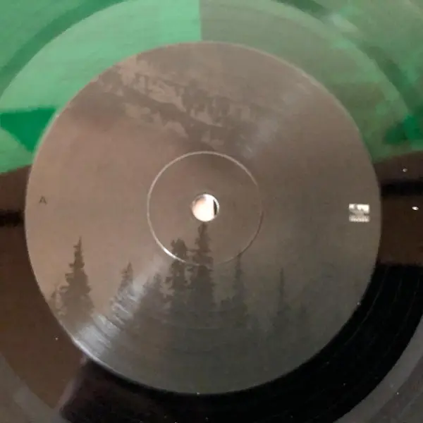 After The Burial - Evergreen (Black, Transparent, Green, LP, Album) - фото №8