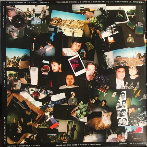 Active Bird Community - Amends (Clear, LP, Album) - фото №3