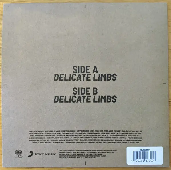Virgil Abloh & Serpentwithfeet - Delicate Limbs (Single) - фото №2