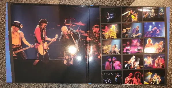 Guns N' Roses - Use Your Illusion I & II (12 платівок, Збірник, Deluxe видання, Лимітоване, Перевидання, Ремастеринг) - фото №37