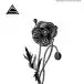 Ancient Shapes - A Flower That Wouldn’t Bloom (Альбом, Лимитированое) - фото №1