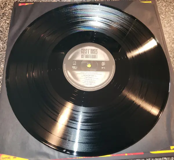 Guns N' Roses - Use Your Illusion I & II (12 платівок, Збірник, Deluxe видання, Лимітоване, Перевидання, Ремастеринг) - фото №15