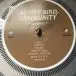 Active Bird Community - Amends (Clear, LP, Album) - фото №5