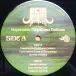 Acid Mammoth - Supersonic Megafauna Collision (LP, Album) - фото №4