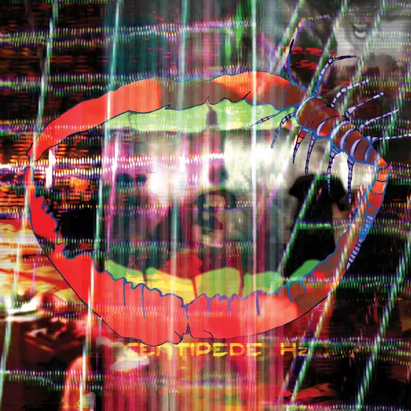Animal Collective - Centipede Hz (2 платівки, Розкладна обкладинка, Альбом)