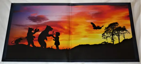 Ryan Adams & The Cardinals - Cold Roses (2 платівки, Gatefold, LP, Album) - фото №10