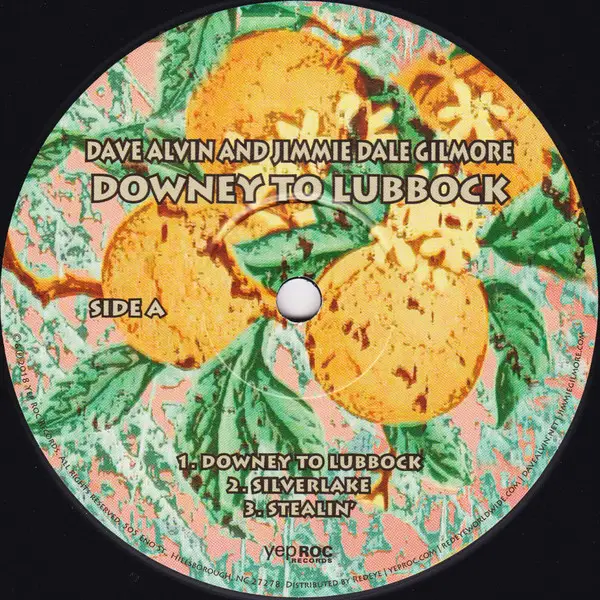 Dave Alvin & Jimmie Dale Gilmore - Downey To Lubbock (2 платівки, Розкладна обкладинка, Альбом) - фото №6