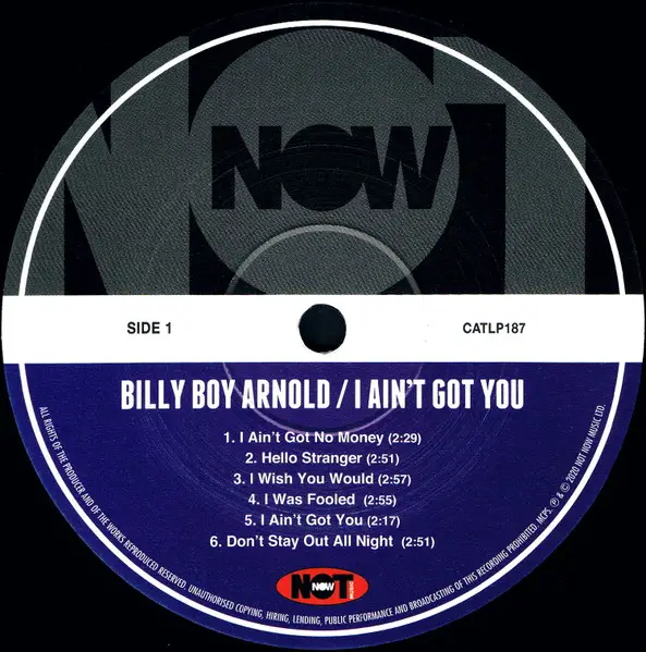 Billy Boy Arnold - I Ain't Got You (180 грамм, Сборник) - фото №3