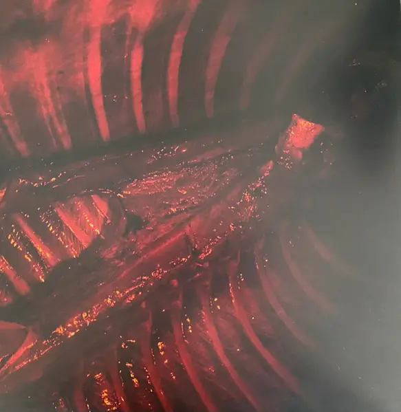 Absent In Body - Plague God (Translucent, Red, LP, Album) - фото №4