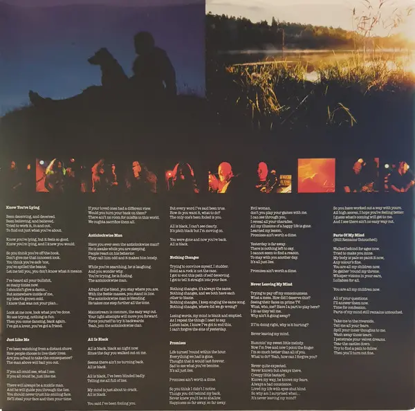 Abramis Brama - Nothing Changes (Gold, LP, Album) - фото №5