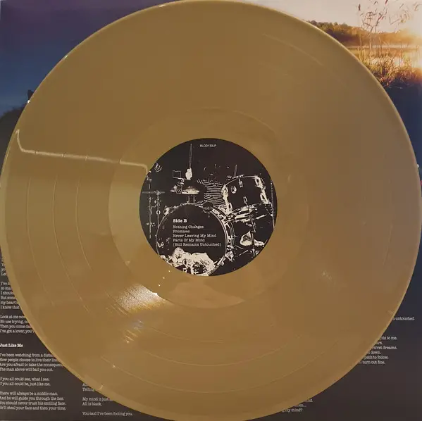 Abramis Brama - Nothing Changes (Gold, LP, Album) - фото №7