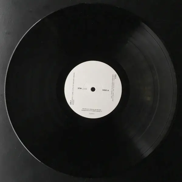 3TM - Lake (LP, Album) - фото №3