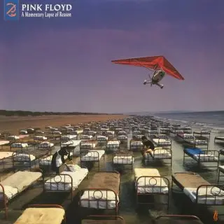 A Momentary Lapse Of Reason