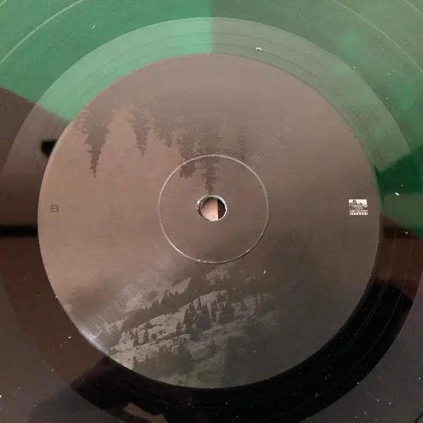 After The Burial - Evergreen (Black, Transparent, Green, LP, Album) - фото №9