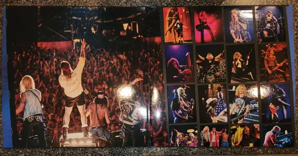 Guns N' Roses - Use Your Illusion I & II (12 платівок, Збірник, Deluxe видання, Лимітоване, Перевидання, Ремастеринг) - фото №51