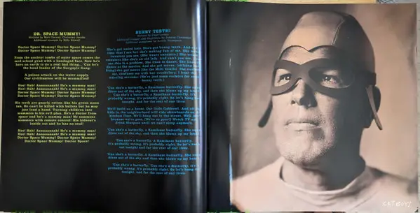 The Aquabats! - Finally! (2 пластинки, Оранжевый, Закат, Альбом, Лимитированое) - фото №10