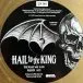Avenged Sevenfold - Hail To The King (2 платівки, Золотий, Ювілейне видання до 10-річчя, Альбом, Лимітоване, Перевидання) - фото №8