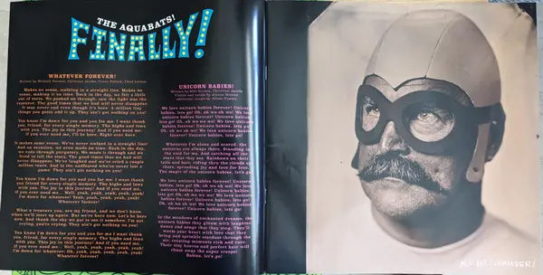 The Aquabats! - Finally! (2 пластинки, Оранжевый, Закат, Альбом, Лимитированое) - фото №9