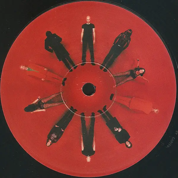 A Perfect Circle - Mer De Noms (2 пластинки, Gatefold, 180g, LP, Album, Reissue) - фото №5