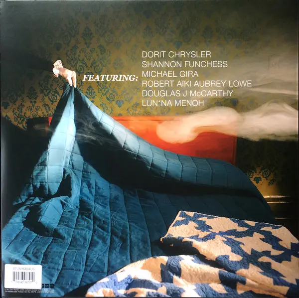 ADULT. - Detroit House Guests (2 пластинки, LP, Album) - фото №3