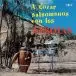 Los Afroins - A Gozar Salsomanos (180g, vinyl, LP, Album, Reissue) - фото №1