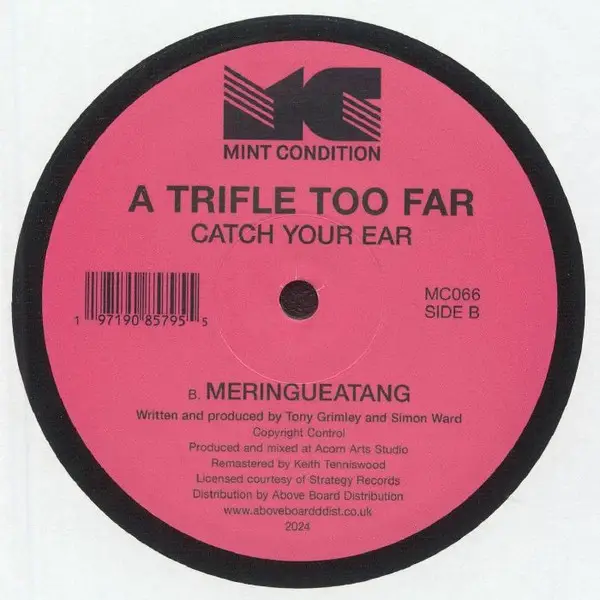 A Trifle Too Far - Catch Your Ear (Reissue, Remastered) - фото №2