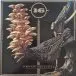 16 - Dream Squasher (Metallic, Gold, Black, Aqua, Blue, LP, Album, Repress) - фото №1