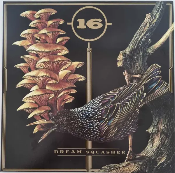 16 - Dream Squasher (Metallic, Gold, Black, Aqua, Blue, LP, Album, Repress)