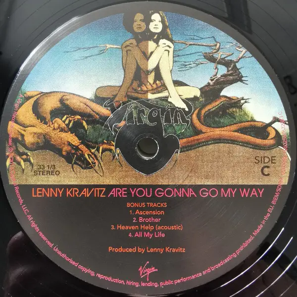 Lenny Kravitz - Are You Gonna Go My Way (2 платівки, 180 грам, Альбом, Перевидання) - фото №14