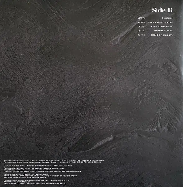 Avishai Cohen Trio - Shifting Sands (Альбом) - фото №6