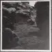 Arthur Beatrice - Keeping The Peace (Розовый, Альбом, Лимитированое) - фото №4