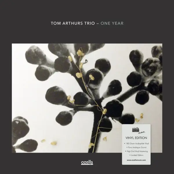 Tom Arthurs Trio - One Year (Альбом, Лимитированое)