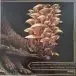 16 - Dream Squasher (Metallic, Gold, Black, Aqua, Blue, LP, Album, Repress) - фото №2