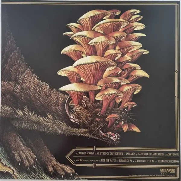 16 - Dream Squasher (Metallic, Gold, Black, Aqua, Blue, LP, Album, Repress) - фото №2