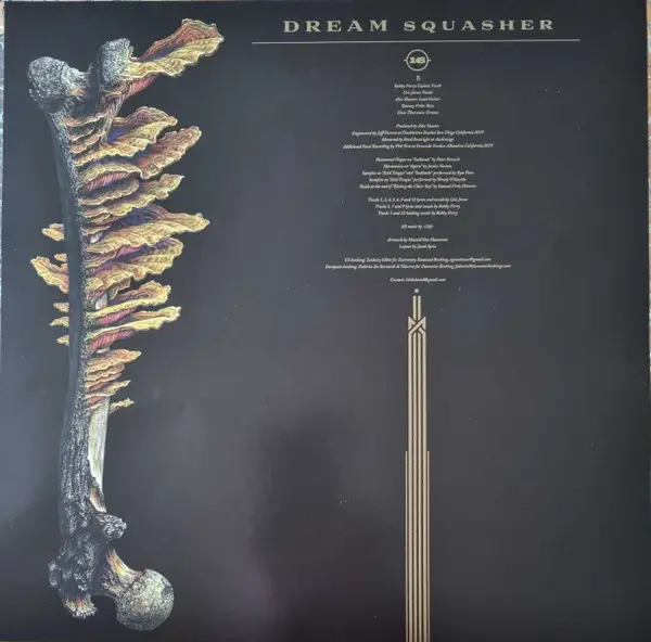 16 - Dream Squasher (Metallic, Gold, Black, Aqua, Blue, LP, Album, Repress) - фото №3