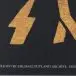 AC/DC - Black Ice (2 пластинки, Gold, 180g, Gatefold, LP, Album, Reissue, Stereo) - фото №34