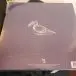 José Afonso - Cantares Do Andarilho (Gatefold, LP, Album, Reissue) - фото №3