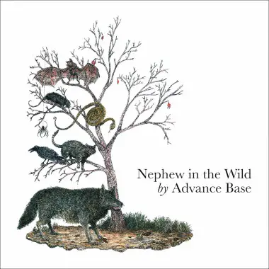 Advance Base - Nephew In The Wild (LP, Album)