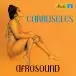 Afrosound - Carruseles (LP, Album, Reissue, Remastered) - фото №1