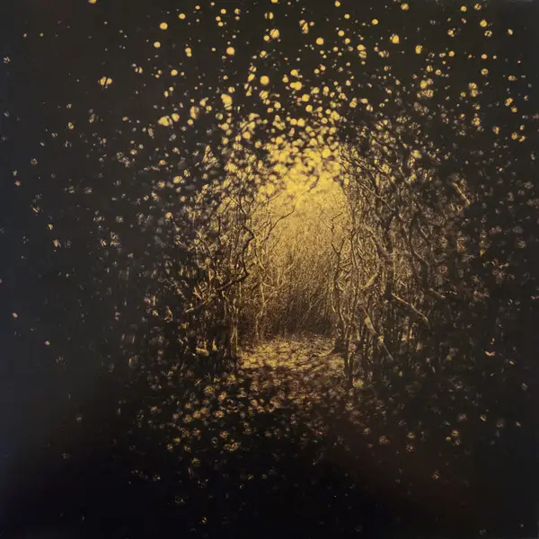The Antlers - Burst Apart (Лимонадный, Альбом, Лимитированое, Переиздание)