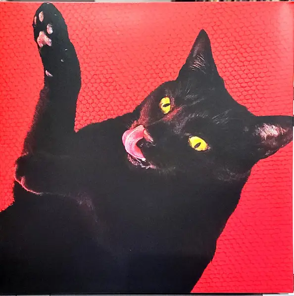 Ryan Adams - Big Colors (2 пластинки, Red, LP, Album)