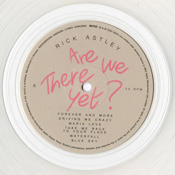 Rick Astley - Are We There Yet? (Цветной, Альбом) - фото №4