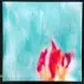 The Album Leaf - Past And Future Tense (2 пластинки, Синий, Вихрь, EP) - фото №9