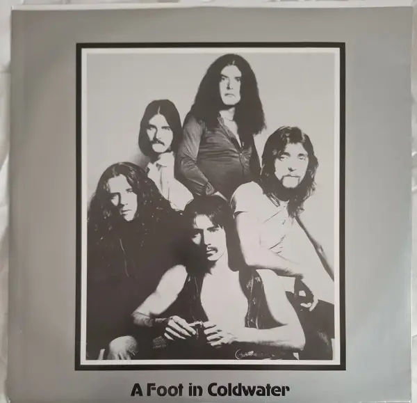 A Foot In Coldwater - All Around Us (LP) - фото №5